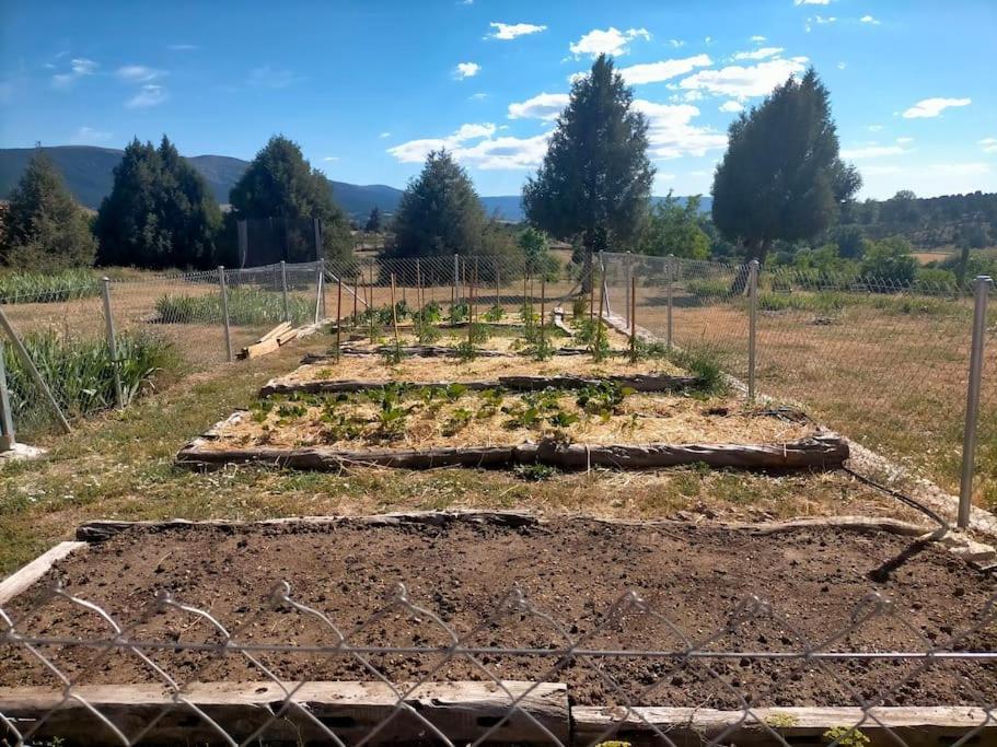El Telar Arte Y Naturaleza Prádena Extérieur photo